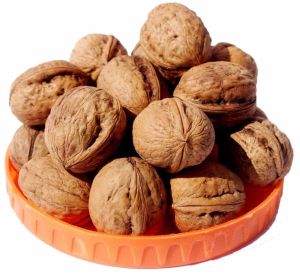 A Grade Walnut for Human Consumption, Packaging Type : Bags, Bulk