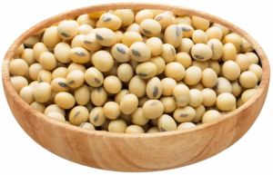 White Superior Soybean Grain Seed, Packaging Type : Packet