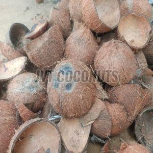 Coconut Shells