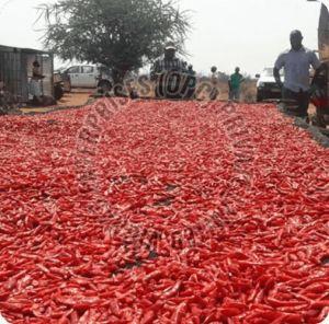 Organic Guntur Dry Red Chilli for Spicy