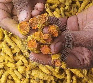 Organic Turmeric Finger, Packaging Size : 10Kg