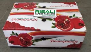 Glossy Kraft Paper Pomegranate Fruit Box, Shape : Rectangular