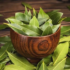 Green Organic Bay Leaves Food Grade for Cooking