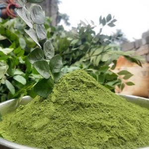 Green Curry Leaf Powder for Medicinal