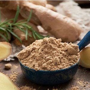 dehydrated ginger powder
