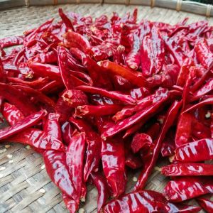 Organic Dried Red Chilli Food Grade for Cooking