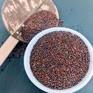 Brown Organic Mustard Seeds Food Grade for Cooking
