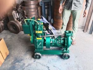 8 HP Water Cold Diesel Engine Pump