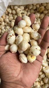 Raw Phool Makhana, Packaging Type : White