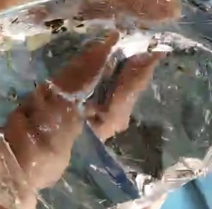 Quartz Crystal 1mm To 50mm