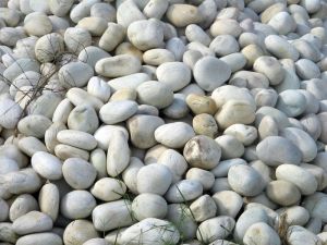 White Natural River Pebbles