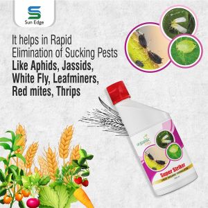 Super Striker Insecticides, Packaging Type : Plastic Bottle