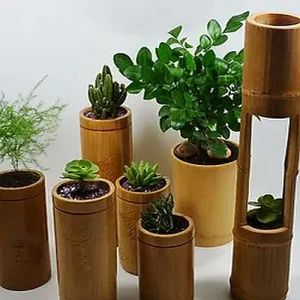 Plain Polished Brown Handmade Bamboo Planter, Shape : Cylindrical