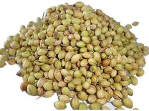 Dried Coriander Seeds, Packaging Type : Sealed Bag