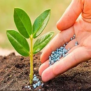 Granules Soil Conditioner