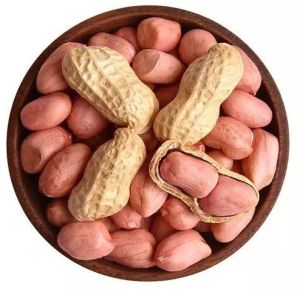 Groundnut