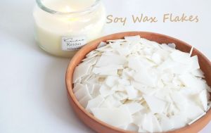 Organic Soya Bean, Color : Creamy, Packaging Type : Plastic Bag