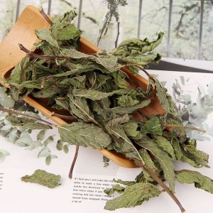 Spearmint Leaf, Color : Natural, Grade : Medicine Grade
