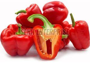 A Grade Red Bell Pepper