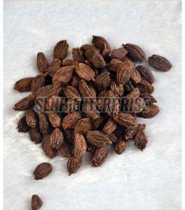 Organic Black Cardamom, Grade Standard : Food Grade