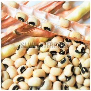 Aashirvad Organic Black Eye Beans, Color : White