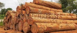 Brown Pine Wood Logs
