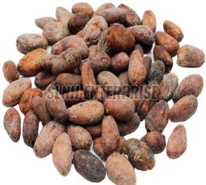 Cocoa Beans, Color : Brown, Form : Powder