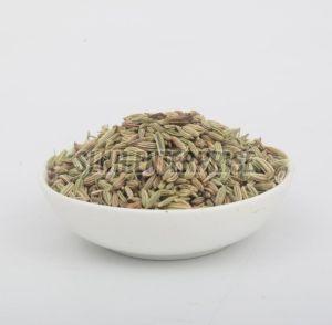 Organic Goldy Fennel Seeds, Packaging Type : Red 12%