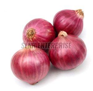 Natural Fresh Onion, Color : Red, State OF Origin : Maharashtra