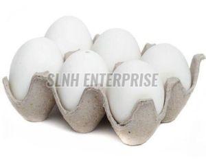 Fresh White Chicken Egg for Cooking, Baking, Breakfast