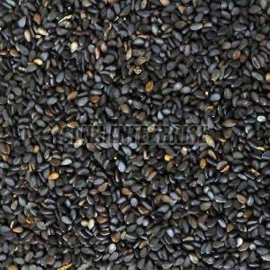 Natural Black Sesame Seed, Packaging Type : In Sealed Bag