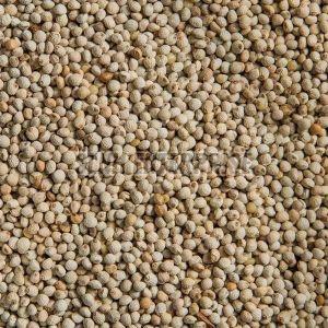 Organic Perilla Seeds, Packaging Size : 25kg, 50kg 9%
