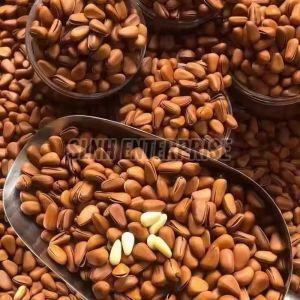 Pine Nuts, Color : White, Red, Green, Creamy, Black & Dark Brown
