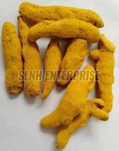 Yellow Turmeric Finger, Packaging Type : Plastic Bag for Culinary Spice