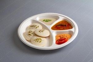 Biosure Biodegradable Sugarcane Bagasse Plate