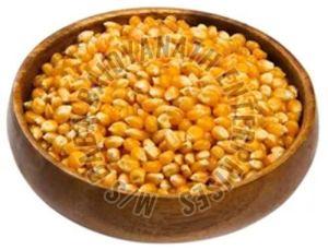 Natural Soft Yellow Maize Seeds 16%, Speciality : High In Protein