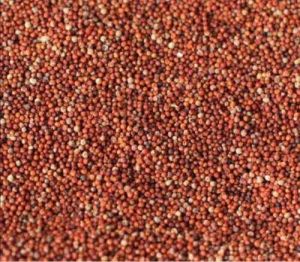 A Grade Finger Millet