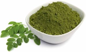 A Grade Moringa Powder