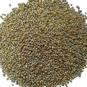 Food Grains