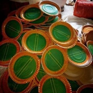 Disposable Paper Plates
