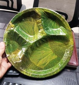 4 CP Disposable Printed Paper Plate