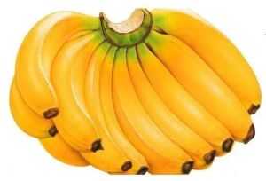 A Grade Fresh Banana, Color : Yellow