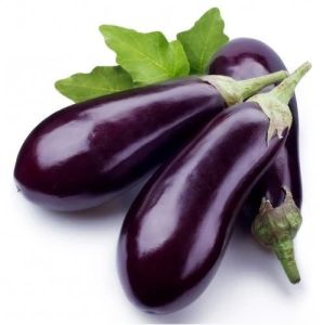 Purple A Grade Fresh Brinjal Bag for Cooking