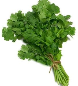 Green Fresh Coriander Leaves, Packaging Type : Bag