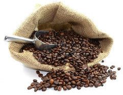 arabica coffee beans