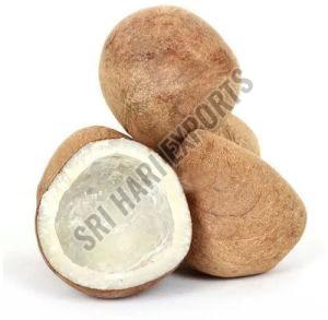 Brown Dry Coconut, Packaging Type : Bag for Cooking, Snacking