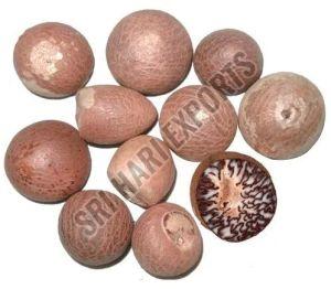 Dried Areca Nut, Packaging Type : Bag