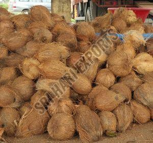Fully Husked Coconut 2-3 Weeks, Packaging Type : Bag