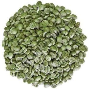 Green Coffee Beans, Packaging Type : Bag