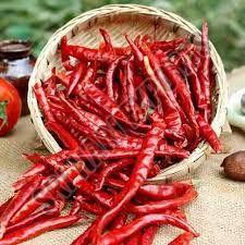 Guntur Dry Red Chilli 12 Months, Packaging Type : Bag